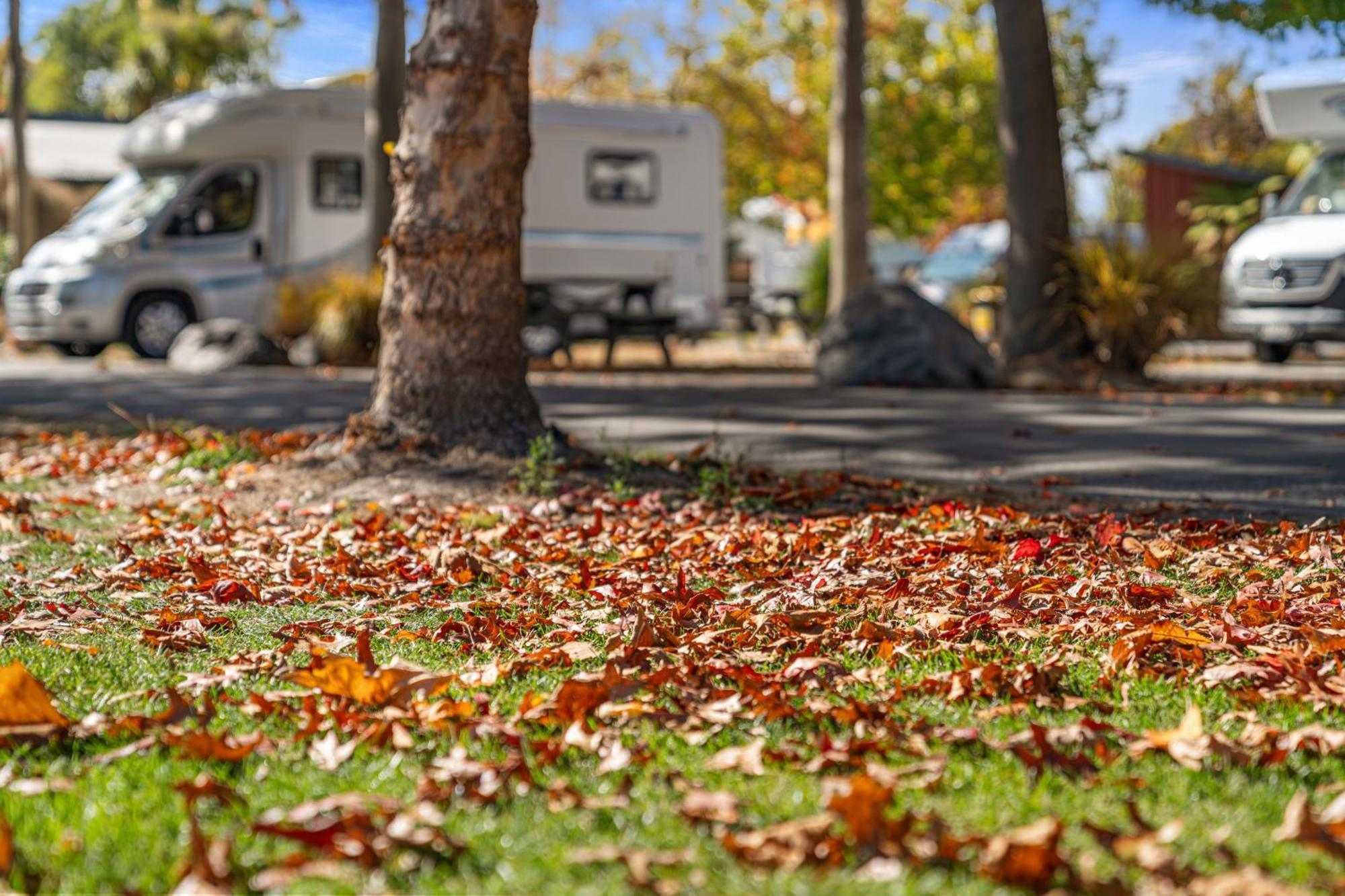 Tasman Holiday Parks - ไครสต์เชิร์ช ภายนอก รูปภาพ Autumn leaves on the ground